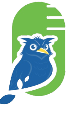 Patoo Bird Logo